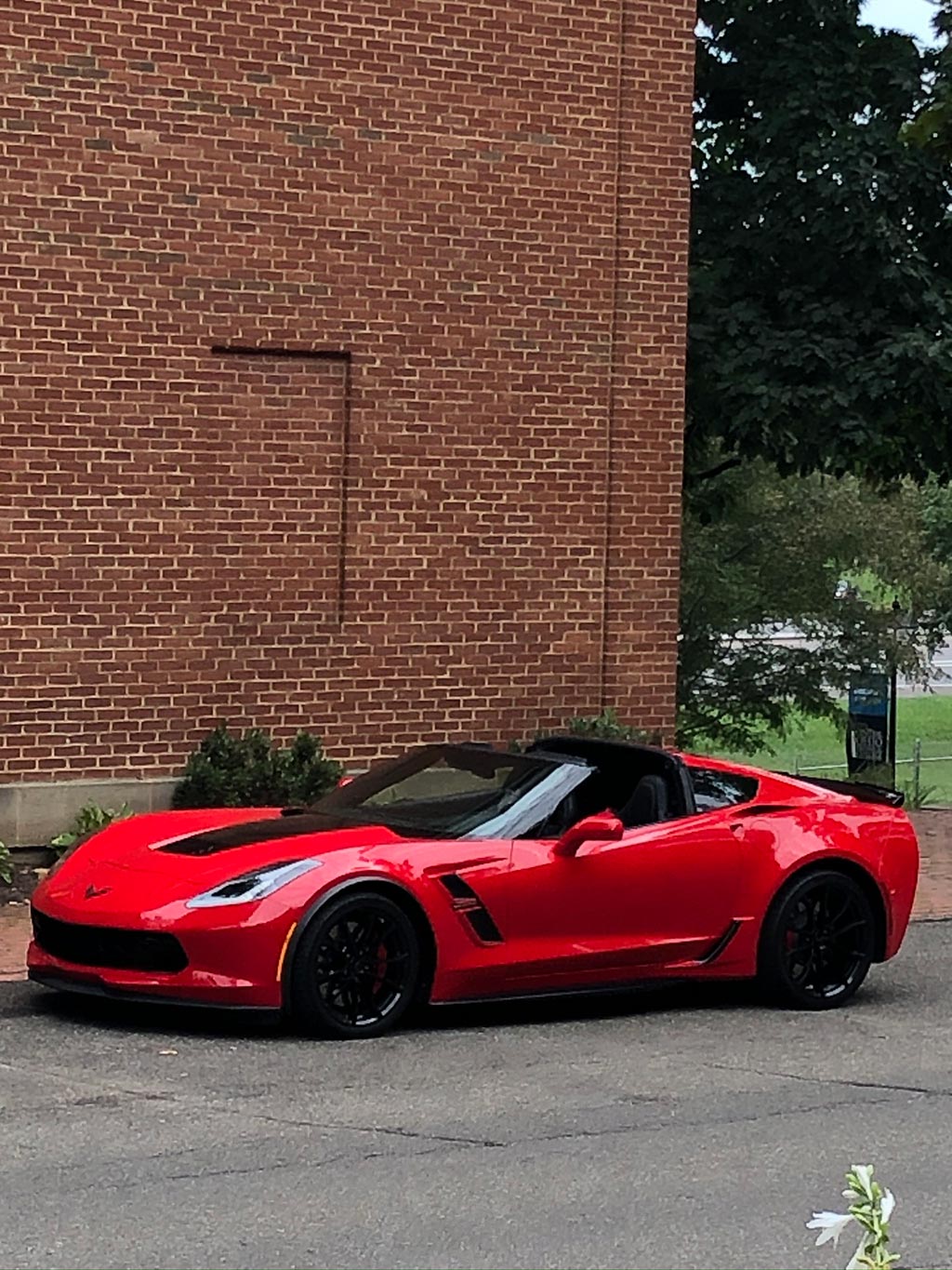 2019 corvette for sale